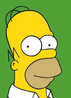 Homer Simpson